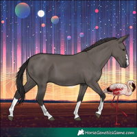 Horse Color:Smoky Grullo
