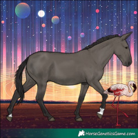 Horse Color:Smoky Grullo 