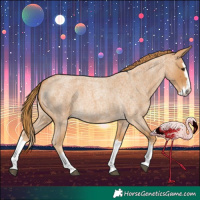 Horse Color:Red Roan Splash