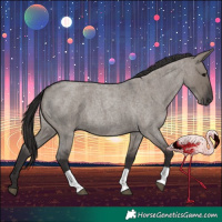 Horse Color:Smoky Grullo Roan