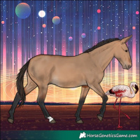 Horse Color:Bay Dun
