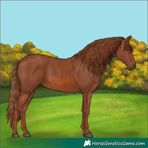 Horse Color:Chestnut Rabicano
