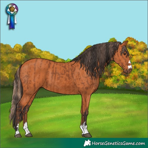 Horse Color:Chestnut  and Bay 