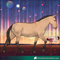 Horse Color:Bay Dun 