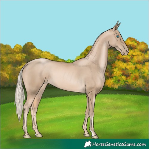 Horse Color:Chocolate Palomino Pearl