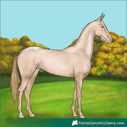 Horse Color:Gold Champagne Pearl 