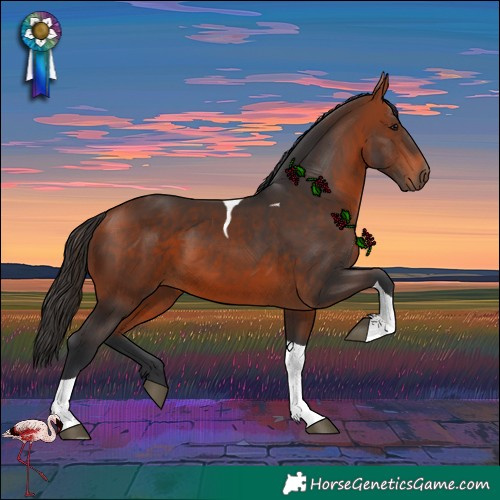 Horse Color:Bay Tobiano