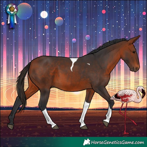 Horse Color:Bay Tobiano 