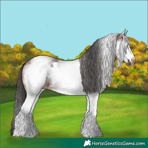 Horse Color:White Spotted Brown Roan Frame 