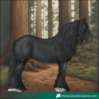 Horse Color:Black Varnish