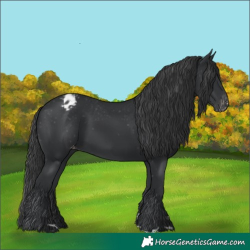Horse Color:Black Varnish 