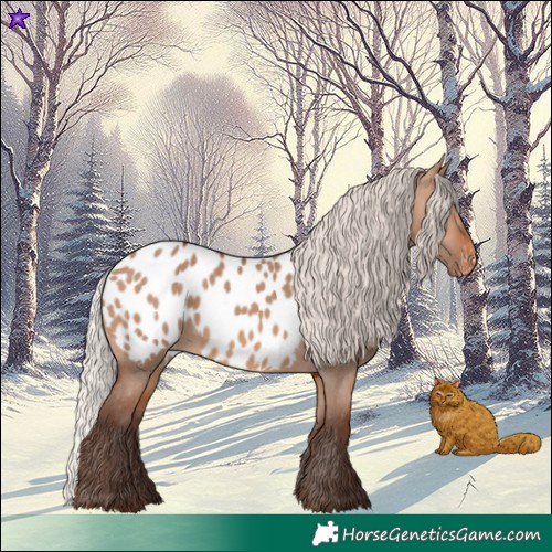 Horse Color:Silver Brown Dun Blanket 