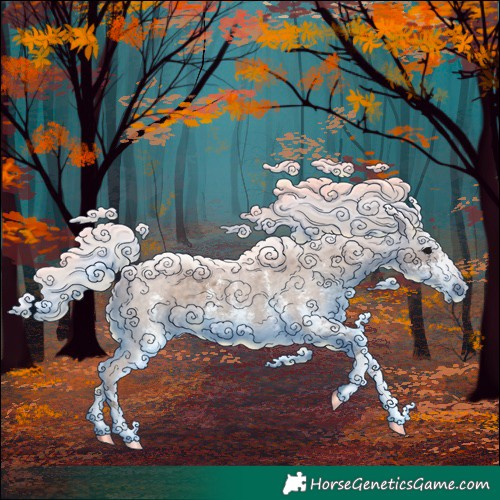 Horse Color:Silver Blue Roan Sabino