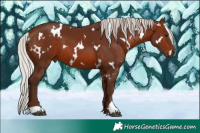 Horse Color:White Spotted Silver Brown 