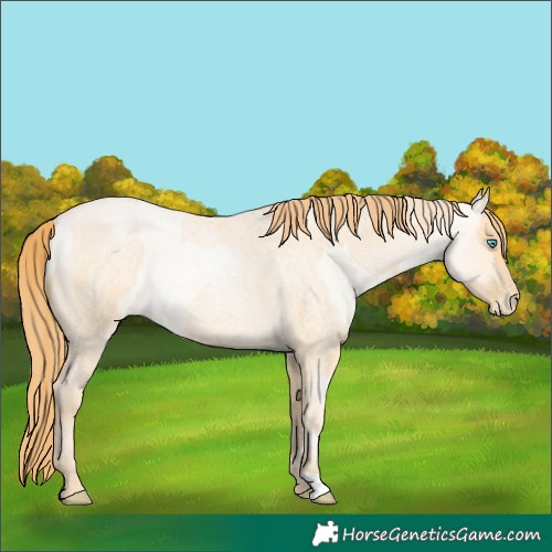 Horse Color:Buckskin Roan Pearl and Buckskin Roan Pearl