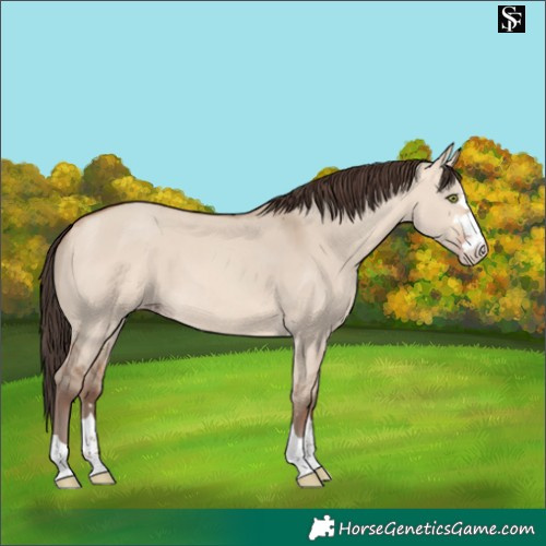 Horse Color:Amber Champagne Dun 