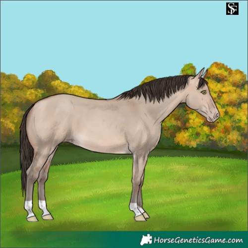 Horse Color:Amber Champagne Dun
