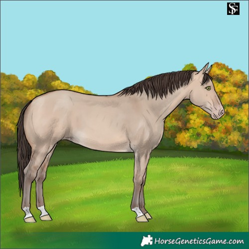 Horse Color:Amber Champagne Dun 
