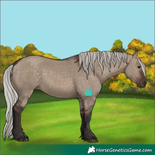 Horse Color:Silver Brown Dun
