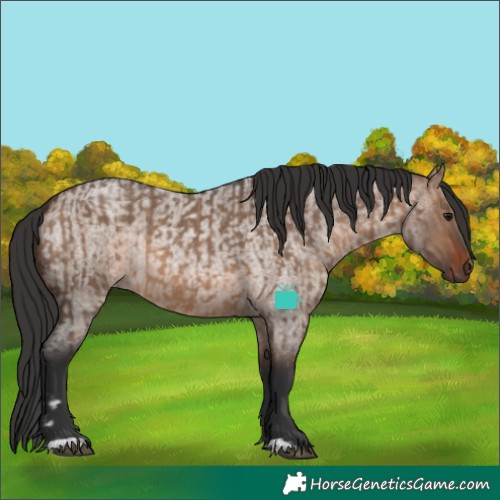Horse Color:Brown Dun  and Brown Roan Dun 