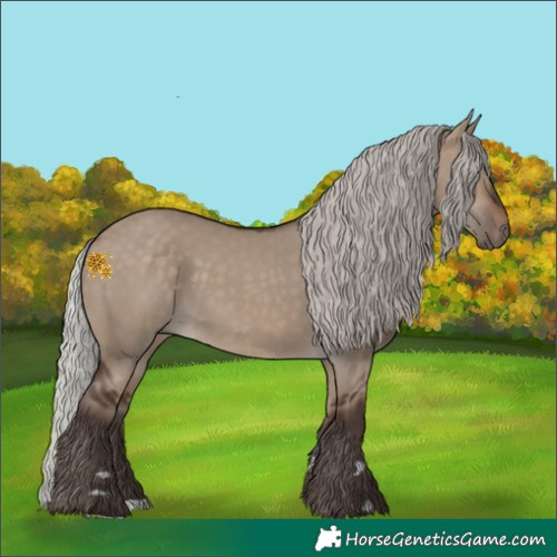 Horse Color:Silver Brown Dun