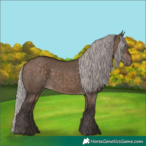 Horse Color:Silver Brown Dun