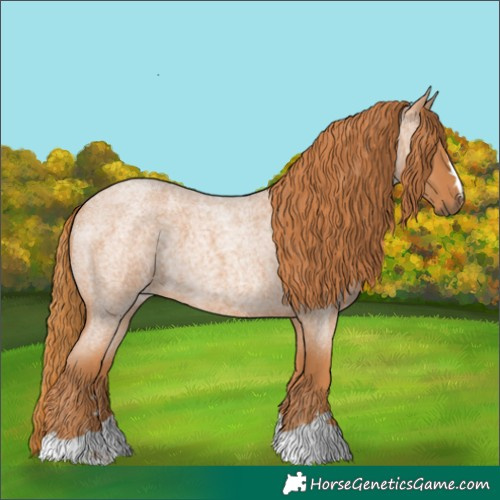 Horse Color:Red Roan