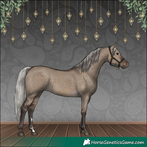 Horse Color:Silver Brown Dun 
