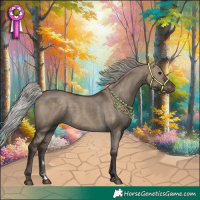 Horse Color:Silver Brown Dun