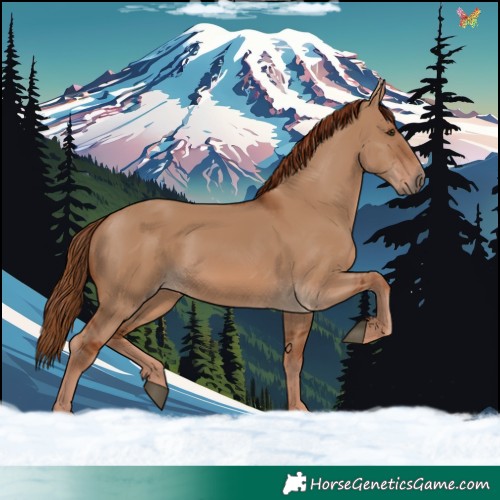 Horse Color:Red Dun