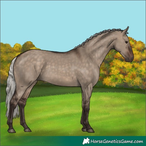 Horse Color:Silver Brown Dun