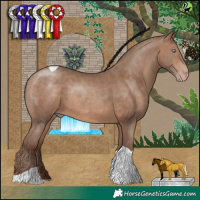 Horse Color:Sable Champagne Tobiano