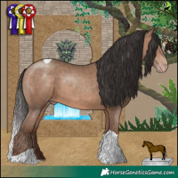 Horse Color:Sable Champagne Tobiano