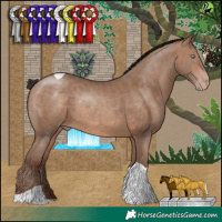 Horse Color:Sable Champagne Tobiano 