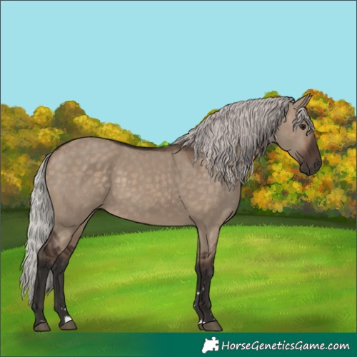 Horse Color:Silver Brown Dun 
