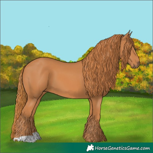 Horse Color:Chestnut 