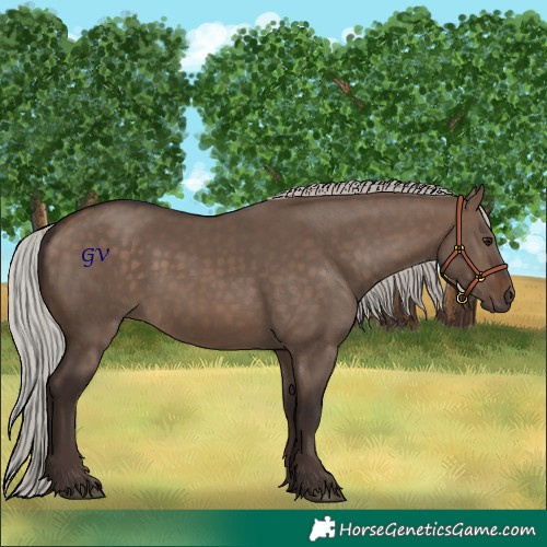 Horse Color:Silver Brown Dun 