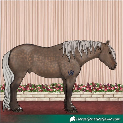 Horse Color:Silver Brown Dun