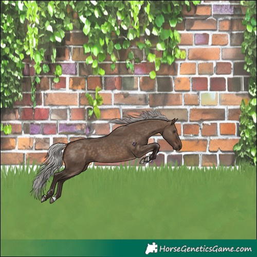 Horse Color:Silver Brown Dun