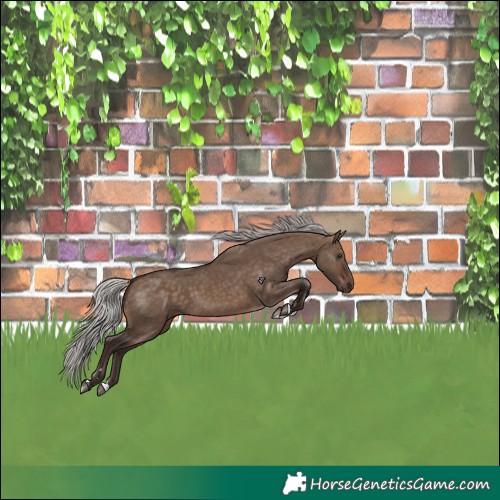 Horse Color:Silver Brown Dun