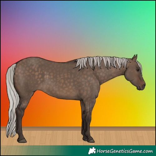 Horse Color:Silver Brown Dun
