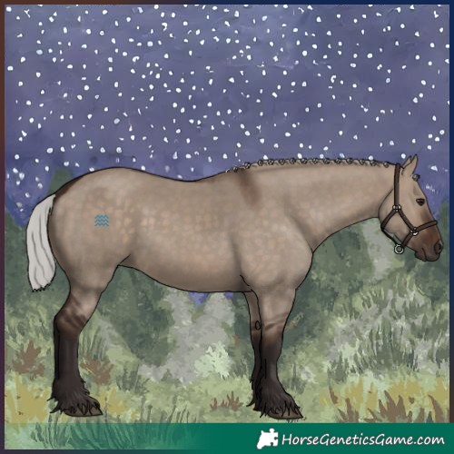 Horse Color:Silver Brown Dun