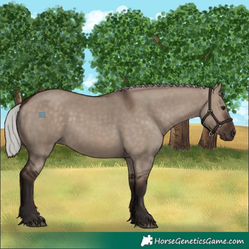 Horse Color:Silver Brown Dun 