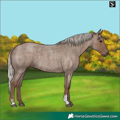 Horse Color:Silver Blue Roan Sabino