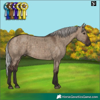 Horse Color:Silver Brown Dun Brindle 