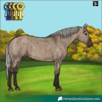Horse Color:Silver Brown Dun Brindle
