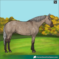 Horse Color:Silver Brown Dun Brindle 
