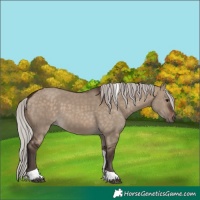 Horse Color:Silver Brown Dun Tobiano Rabicano