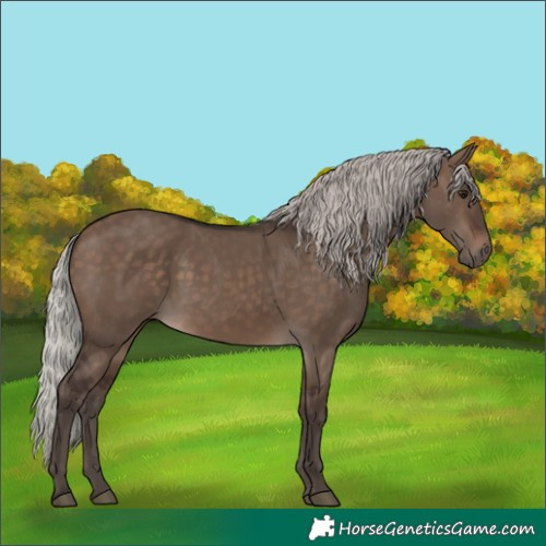 Horse Color:Silver Brown Dun 