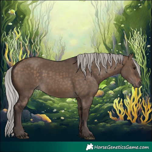 Horse Color:Silver Brown Dun